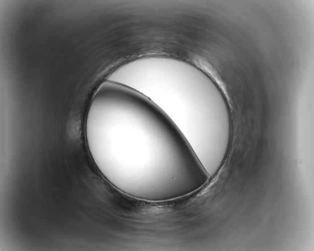 X0000088700249200705311021