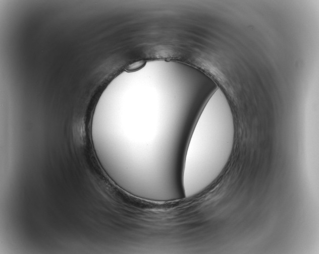X0000088700251200705311021