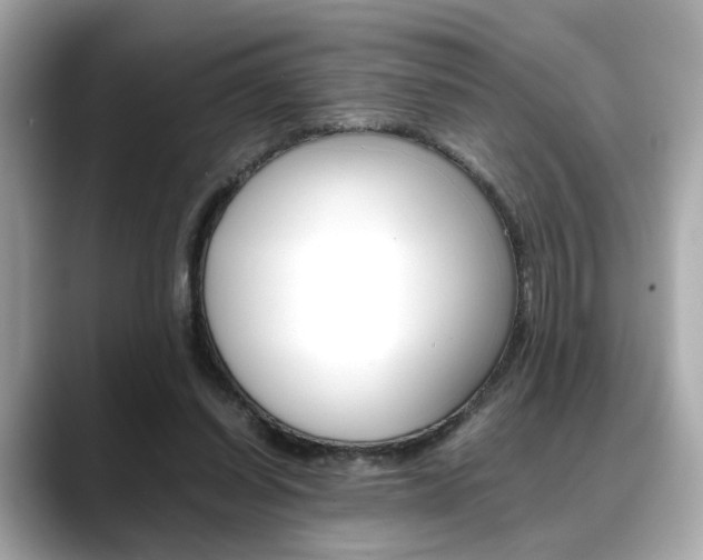 X0000088700254200705311021