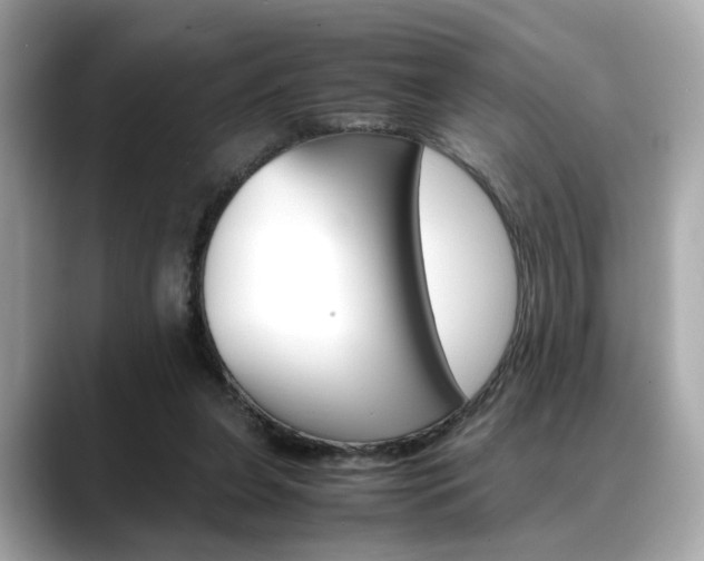 X0000088700255200705311021