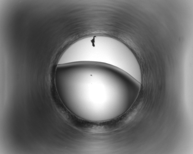 X0000088700256200705311021