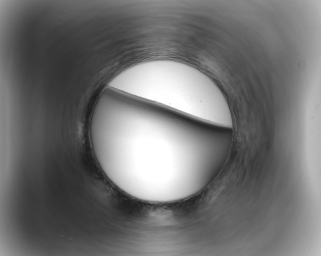 X0000088700258200705311021
