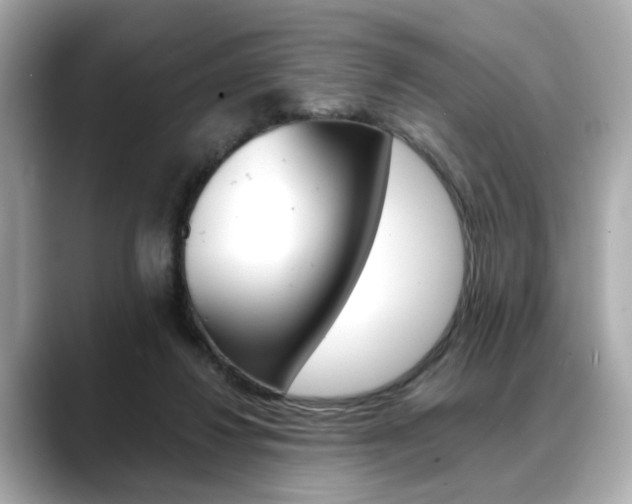 X0000088700260200705311021