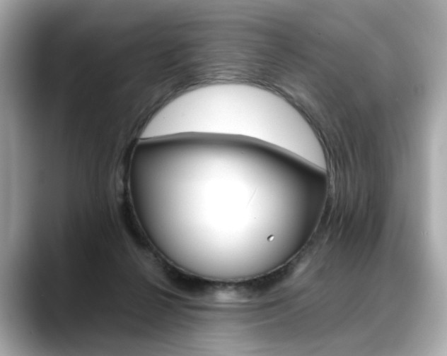 X0000088700264200705311021
