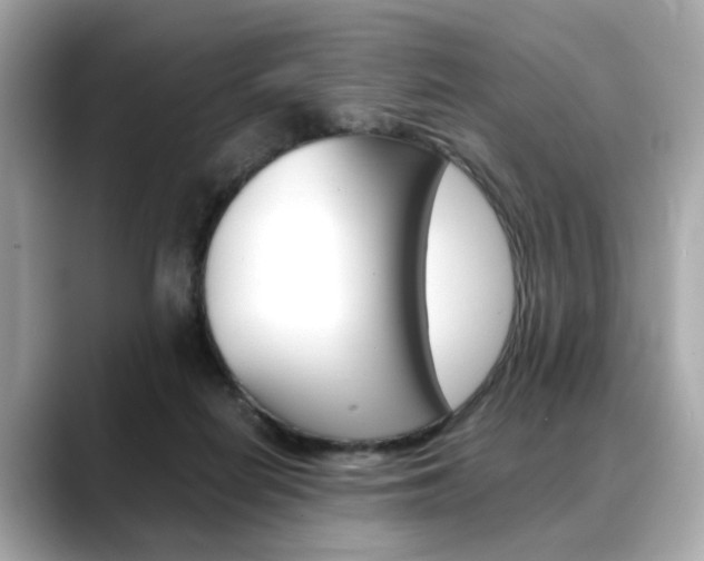 X0000088700266200705311021