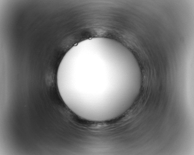 X0000088700274200705311021