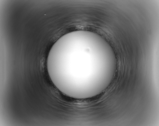 X0000088700275200705311021