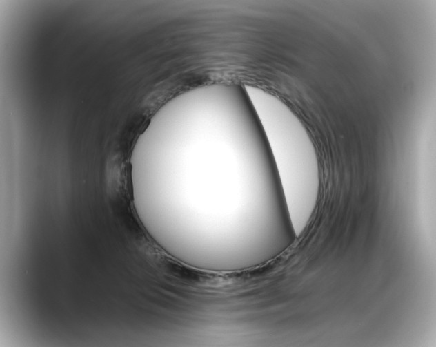 X0000088700276200705311021