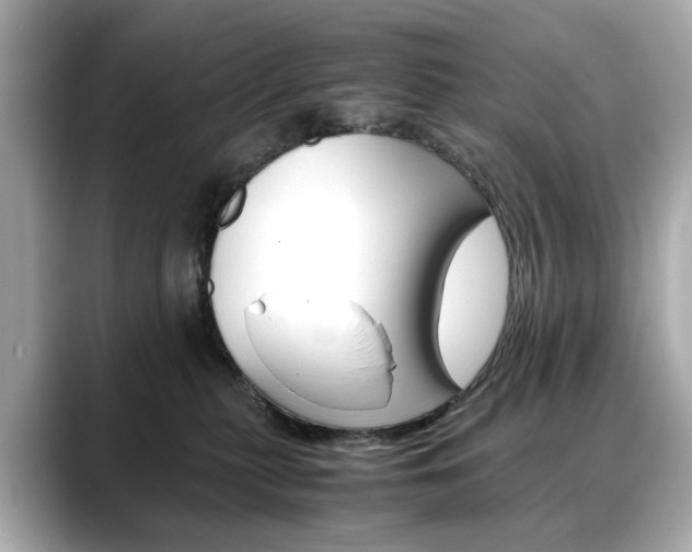 X0000088700279200705311021