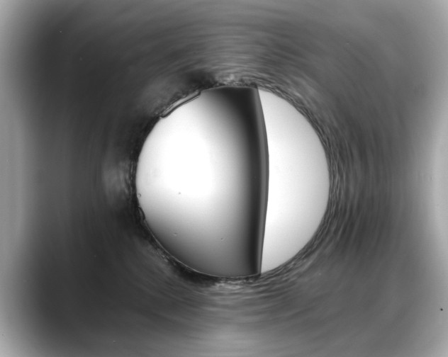 X0000088700280200705311021