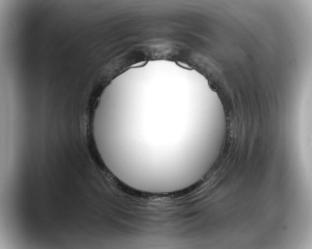 X0000088700283200705311021