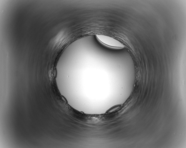 X0000088700285200705311021