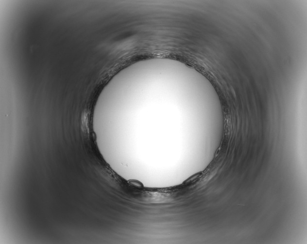 X0000088700286200705311022