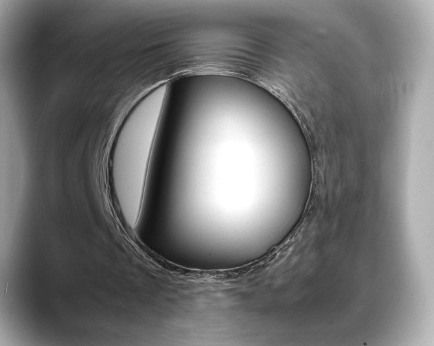 X0000088700289200705311021