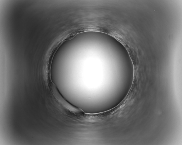 X0000088700293200705311021