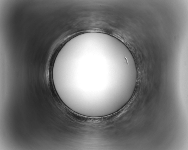 X0000088700294200705311021