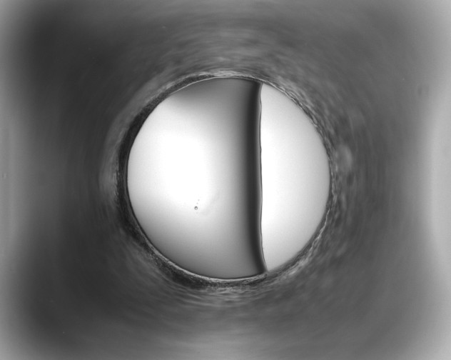 X0000088700295200705311021