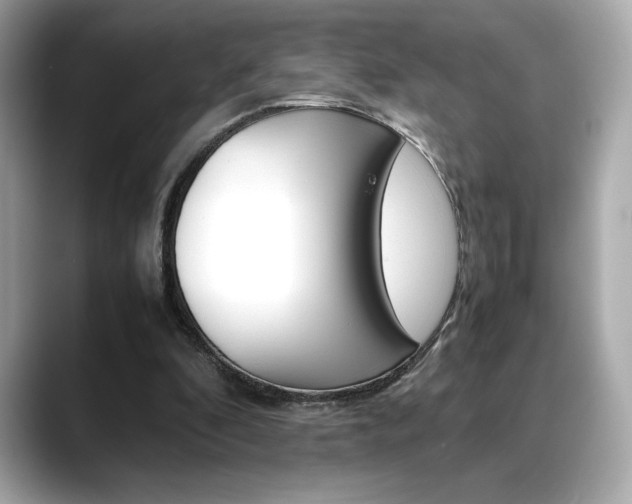 X0000088700296200705311021