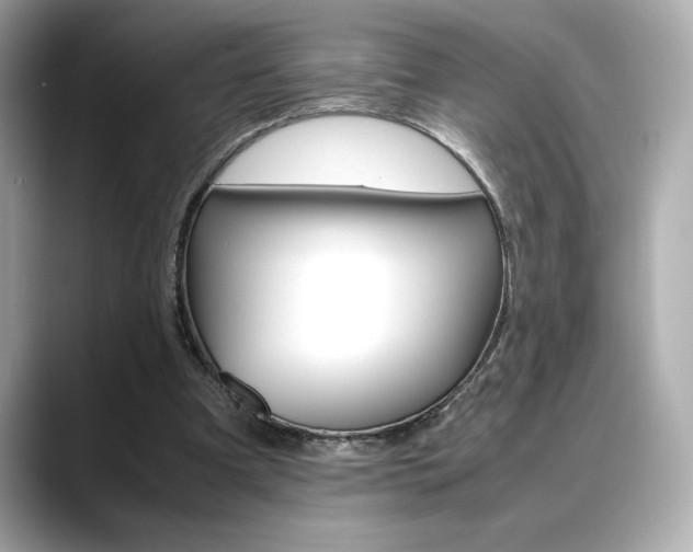 X0000088700297200705311021