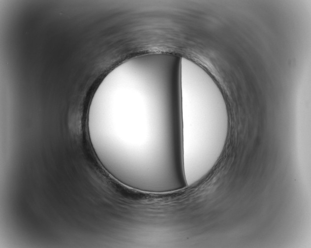 X0000088700299200705311021