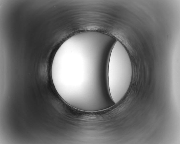 X0000088700300200705311021