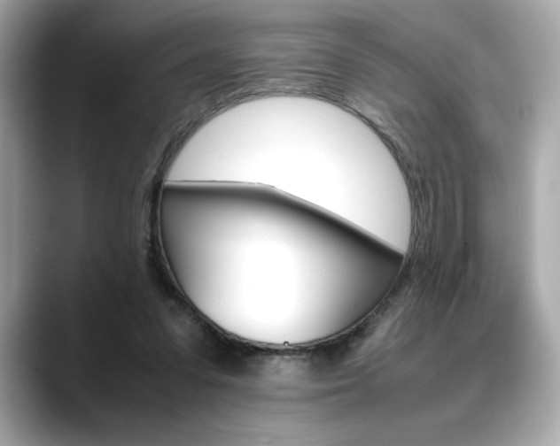 X0000088700303200705311021