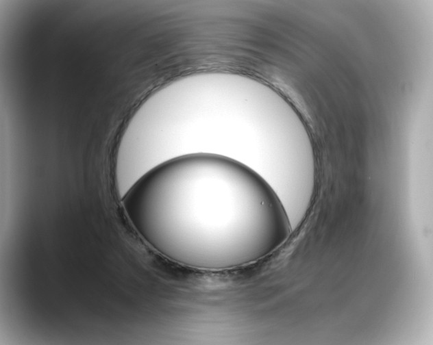 X0000088700305200705311021