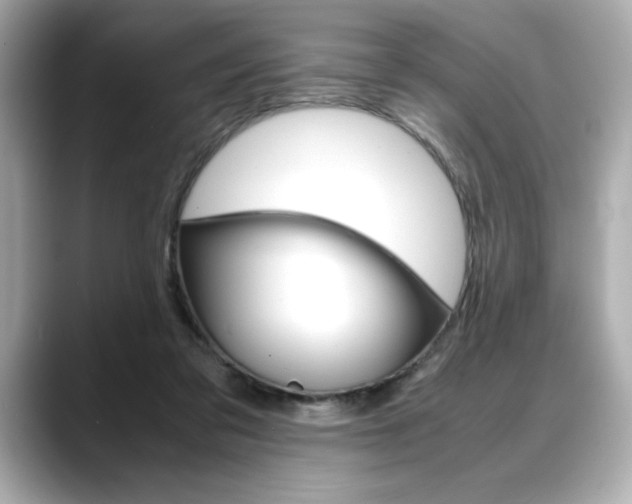 X0000088700309200705311021