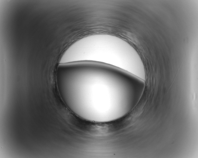 X0000088700317200705311021