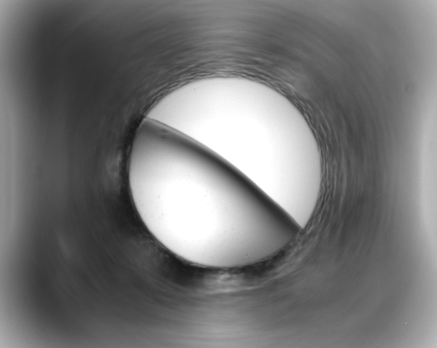 X0000088700319200705311021