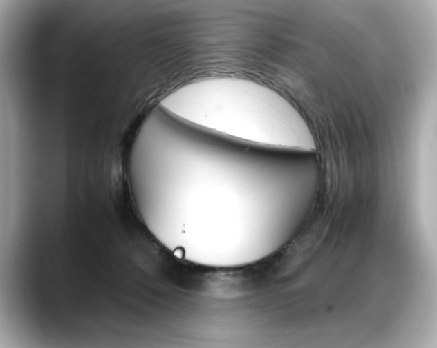 X0000088700320200705311021