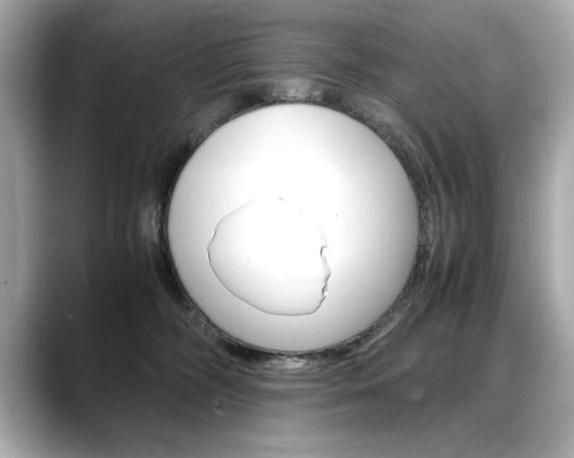 X0000088700326200705311021