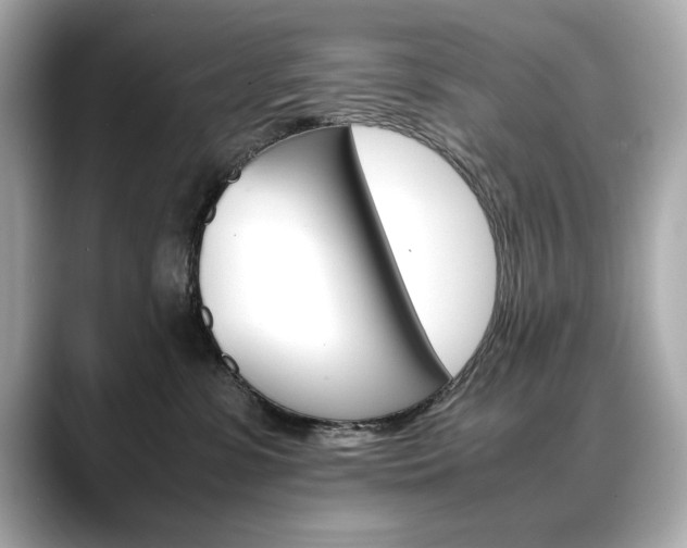 X0000088700331200705311020