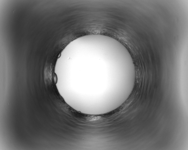 X0000088700334200705311020