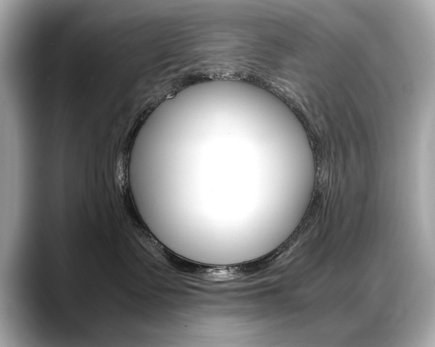 X0000088700335200705311020