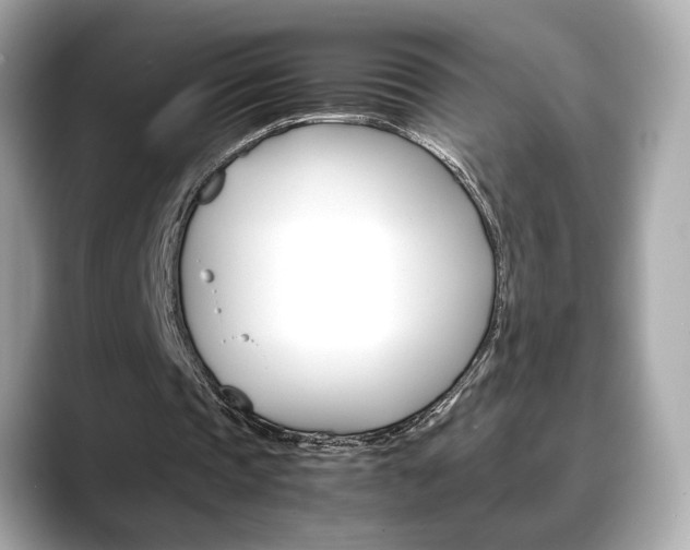 X0000088700337200705311020