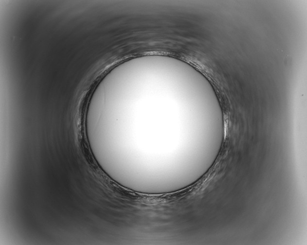 X0000088700339200705311020