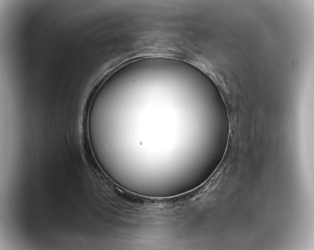 X0000088700340200705311020