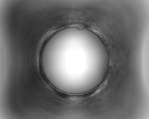 X0000088700341200705311020