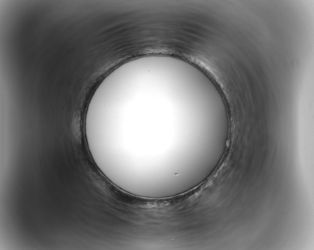X0000088700345200705311020