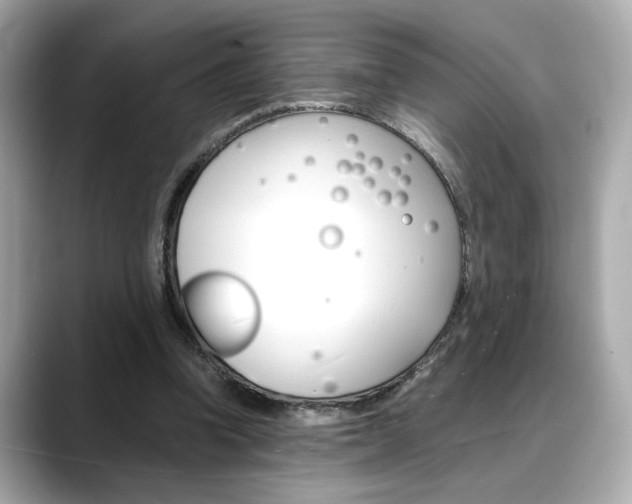 X0000088700346200705311020