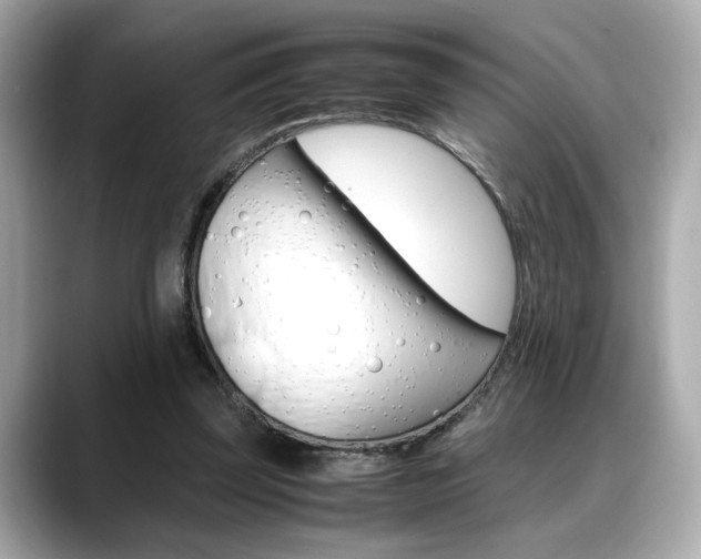 X0000088700347200705311020