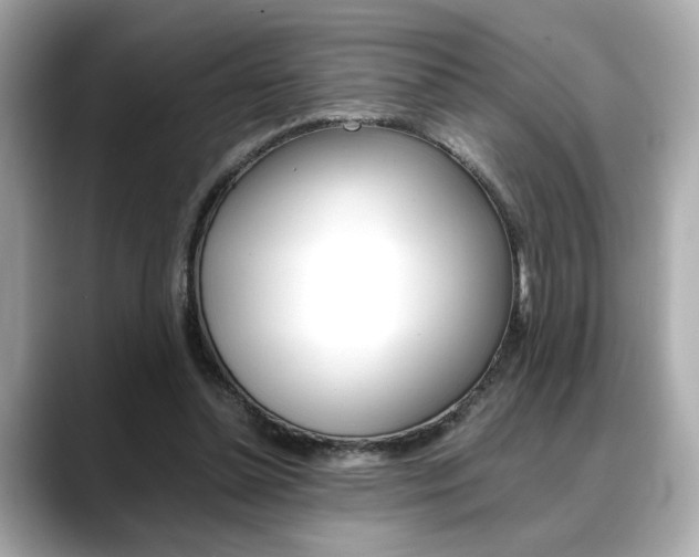 X0000088700348200705311020