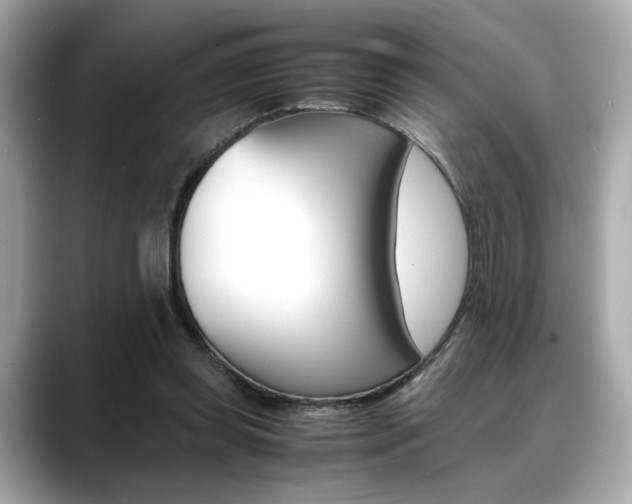 X0000088700349200705311020