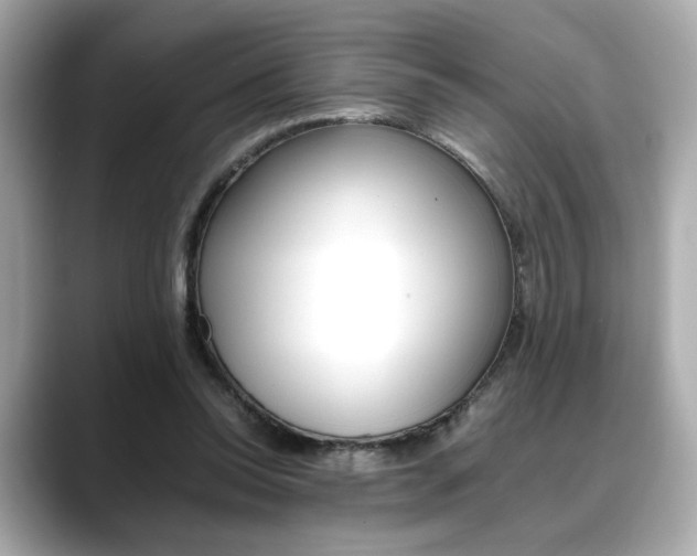 X0000088700350200705311020