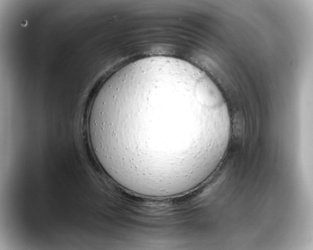 X0000088700351200705311020