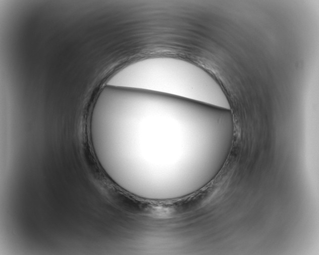 X0000088700352200705311020