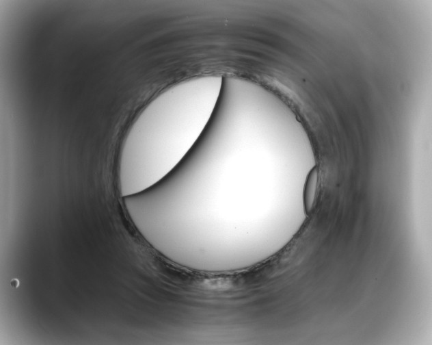 X0000088700353200705311020