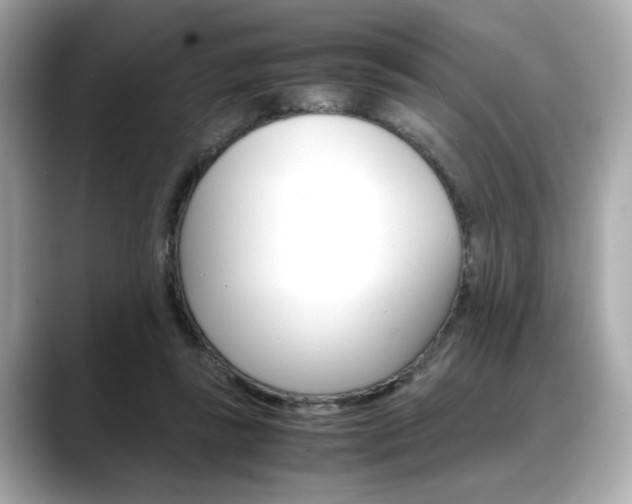 X0000088700355200705311020