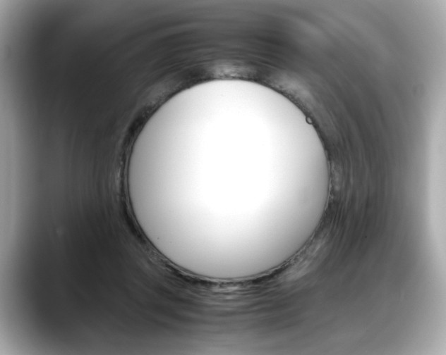 X0000088700357200705311020